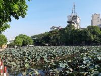 CHÙM THƠ ĐỨC BÌNH