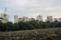 CANH CUA PHỐ THỊ