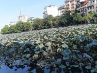 BẾN TRẦN GIAN
