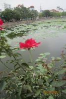 MẤT LƯƠNG TÂM