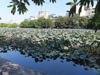 HÀ NỘI HỒN QUÊ