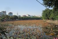 CHÙM THƠ NGUYỄN XUÂN THẮNG