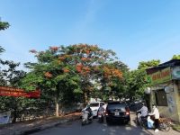 CHUYỆN Ở QUẦY HÀNG MÃ