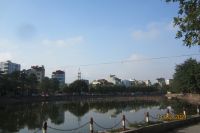 GIÓ ĐƯA CÂY CẢI VỀ TRỜI