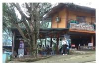 ĐÊM ĐẢO DỪA