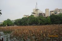 CHÙM TÌNH - THẾ SỰ