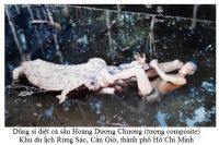 DŨNG SĨ DIỆT CÁ SẤU