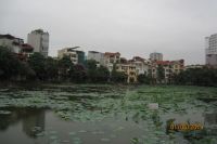 TẢN MẠN THU