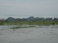 NHÀ THƠ VƯƠNG TRỌNG NHƯ TÔI BIÉT