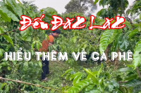 ĐẾN ĐĂK LĂK - HIỂU THÊM VỀ CÀ PHÊ