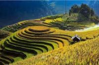 BÚT KÍ CỦA NGUYỄN ĐÌNH BẮC