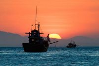 BÀI CA GIỮ BIỂN