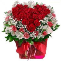 THÔNG BÁO SINH HOẠT CLB VĂN CHƯƠNG