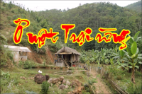 Ở MỘT TRẠI RỪNG