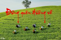 ĐỪNG QUÊN ĐƯỜNG VỀ
