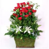 CLB VĂN CHƯƠNG GIỚI THIỆU CUỐN "KIẾP MƯA"