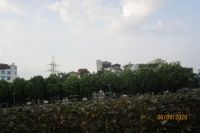 BÓNG RỪNG (TIẾP THEO)