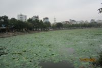 HÀ NỘI TRONG MẮT AI